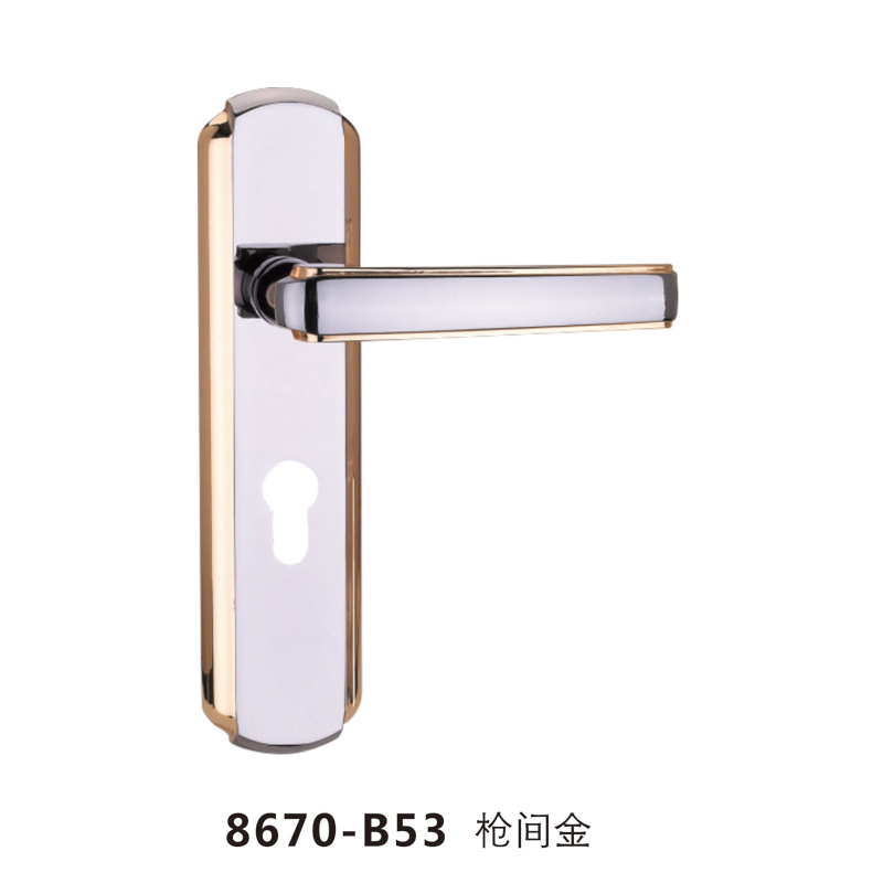 8670-B53 槍（qiāng）間金